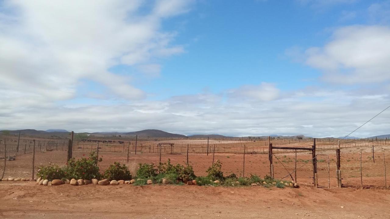 Pureplaas Self Catering Volmoed Oudtshoorn Klein Karoo Apartment ภายนอก รูปภาพ