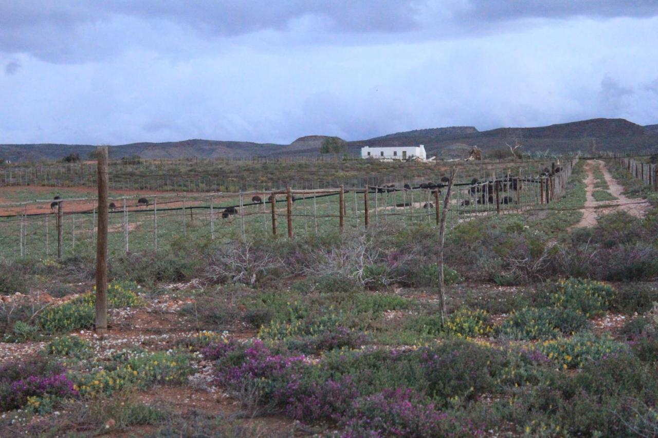 Pureplaas Self Catering Volmoed Oudtshoorn Klein Karoo Apartment ภายนอก รูปภาพ