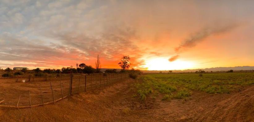 Pureplaas Self Catering Volmoed Oudtshoorn Klein Karoo Apartment ภายนอก รูปภาพ