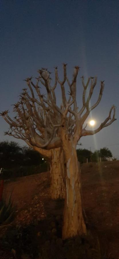 Pureplaas Self Catering Volmoed Oudtshoorn Klein Karoo Apartment ภายนอก รูปภาพ